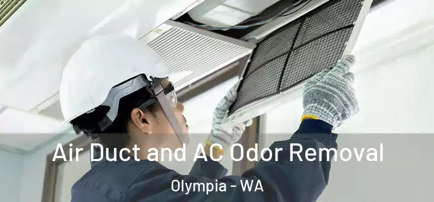 Air Duct and AC Odor Removal Olympia - WA