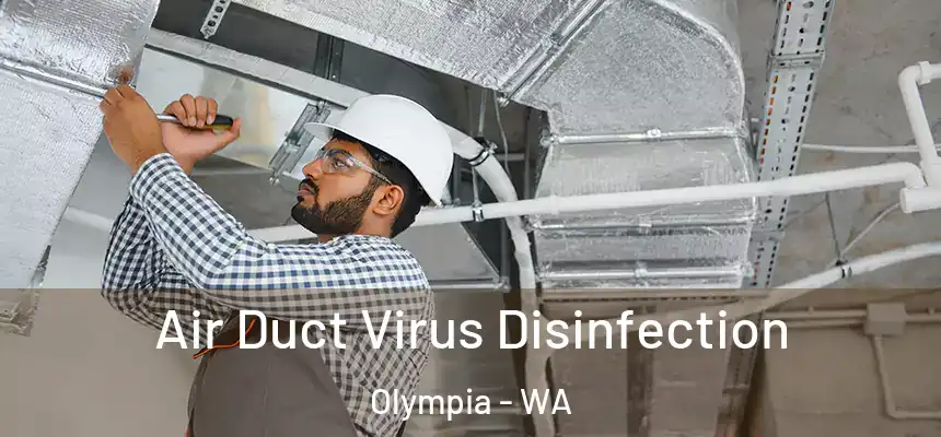 Air Duct Virus Disinfection Olympia - WA