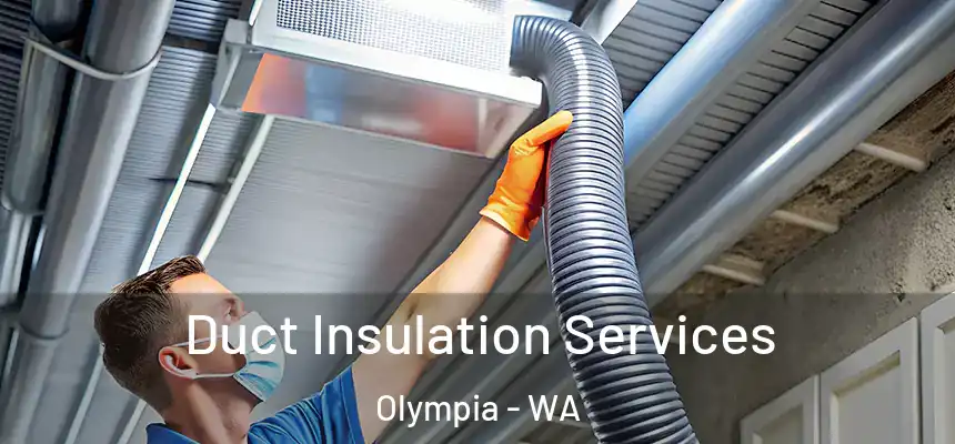 Duct Insulation Services Olympia - WA