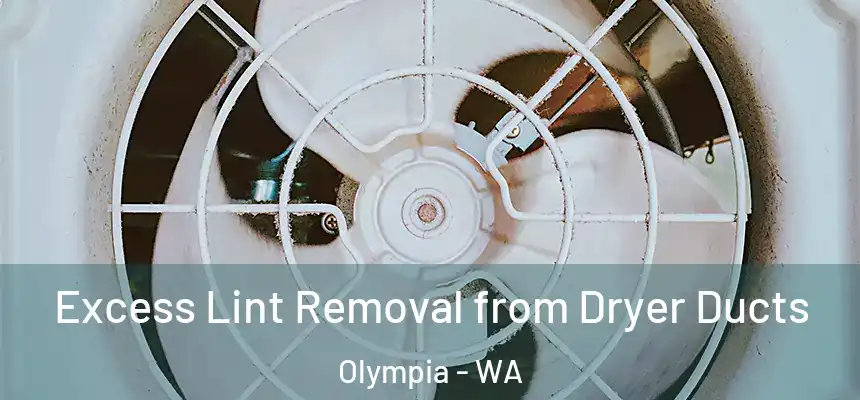Excess Lint Removal from Dryer Ducts Olympia - WA