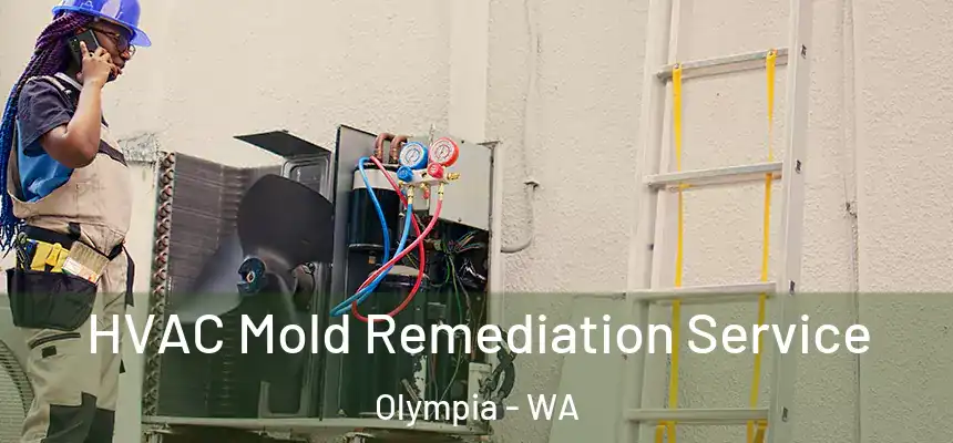  HVAC Mold Remediation Service Olympia - WA