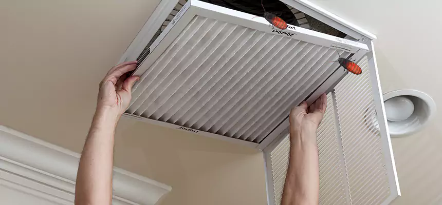 Preventive Cockroach-Proofing for Ducts in Olympia