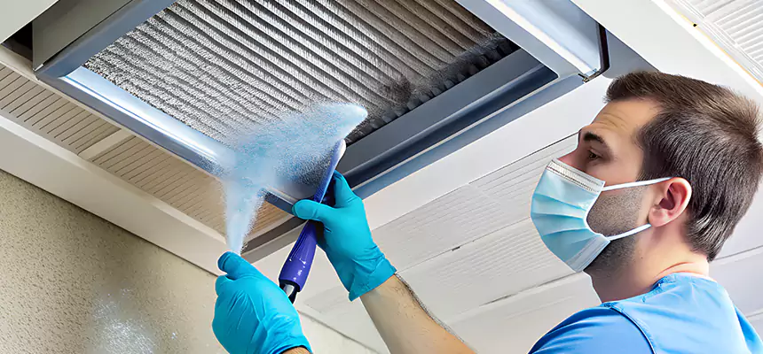 Proactive Dryer Vent & Auxiliary Duct Pollen Cleanup in Olympia, WA
