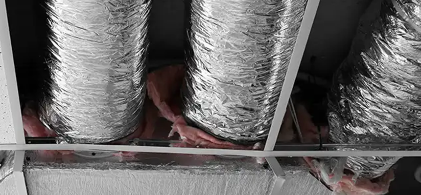 Scalable Commercial Multi‑Unit Dryer Vent Camera Inspection in Olympia, WA