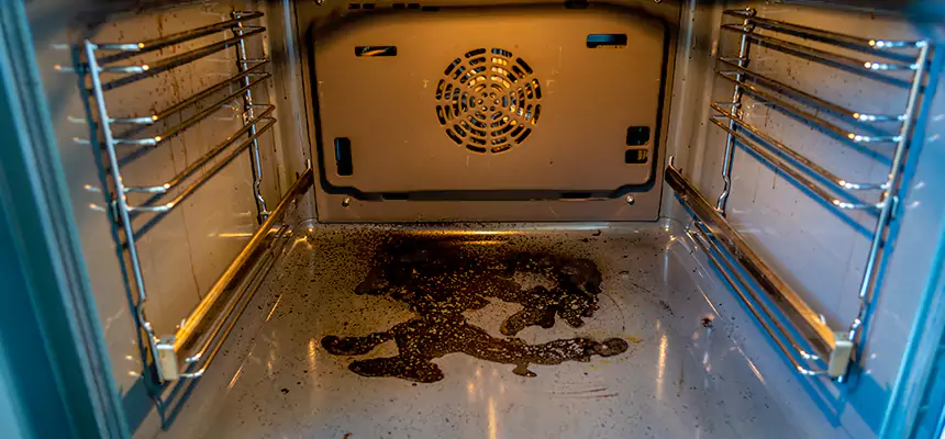 Our Dryer Vent Mold Cleaning Services in Olympia, WA