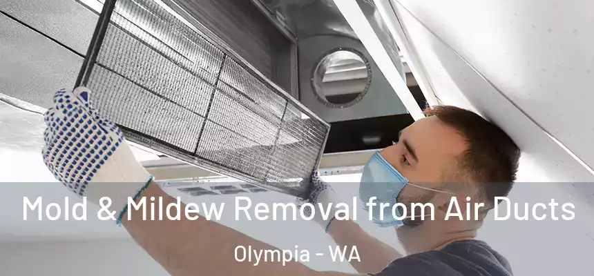  Mold & Mildew Removal from Air Ducts Olympia - WA