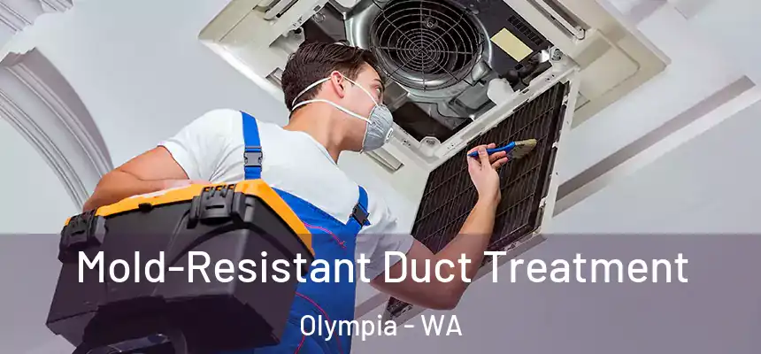  Mold-Resistant Duct Treatment Olympia - WA