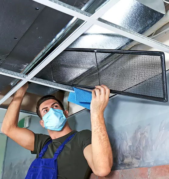 About Air Duct Bacteria Removal in Olympia