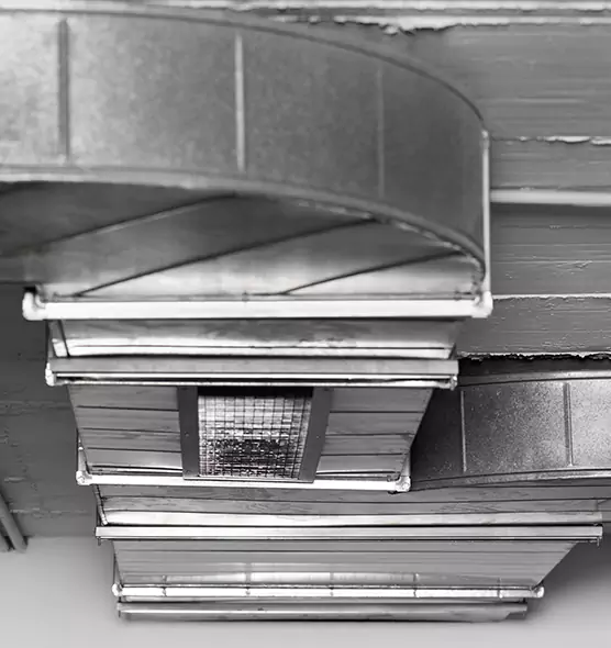 Professional Air Duct Pest Removal in Olympia, WA