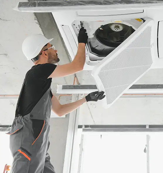 About Air Duct Rodent Removal in Olympia, WA