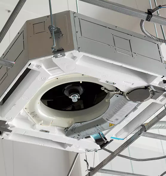 Professional Roof Vent Lint Removal Olympia, WA