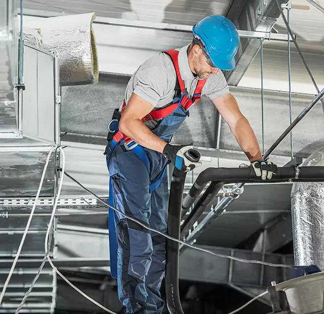 Why Homeowners & Businesses Trust Us in Olympia, WA?