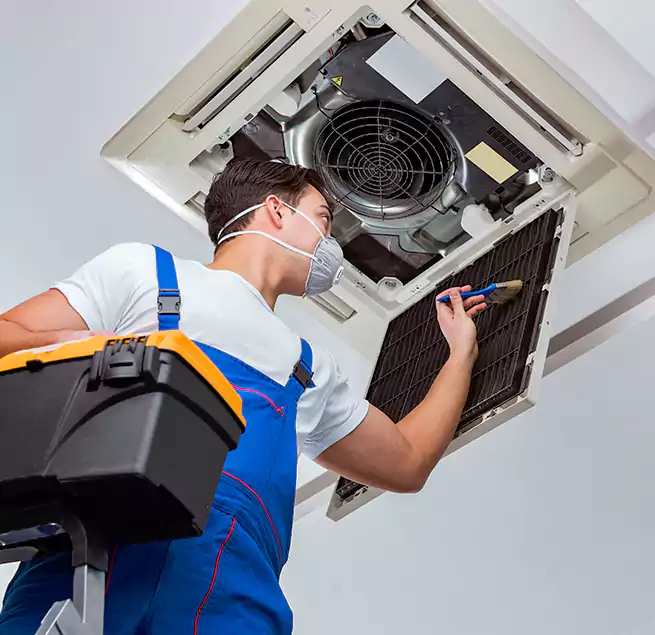 Why Homeowners & Businesses Trust Us in Olympia, WA