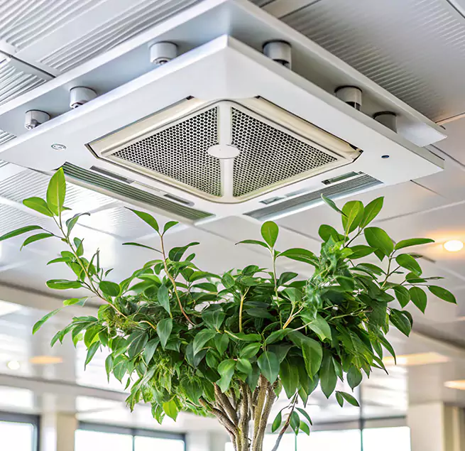 Why Homeowners & Businesses Trust Us in Olympia, WA?