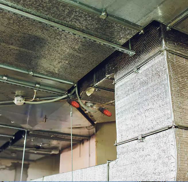 Why Homeowners & Businesses Trust Us Olympia, WA?