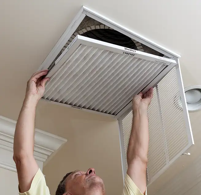 Why Homeowners & Businesses Trust Us in Olympia, WA?