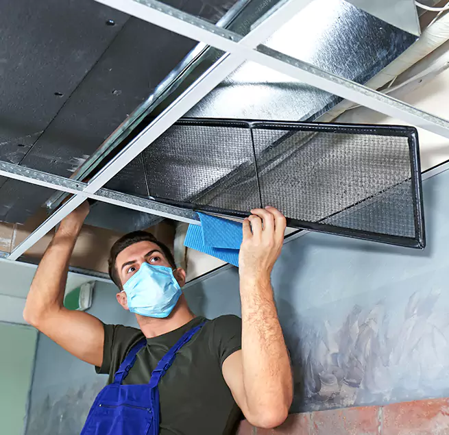 Why Homeowners & Businesses Trust Us in Olympia, WA?