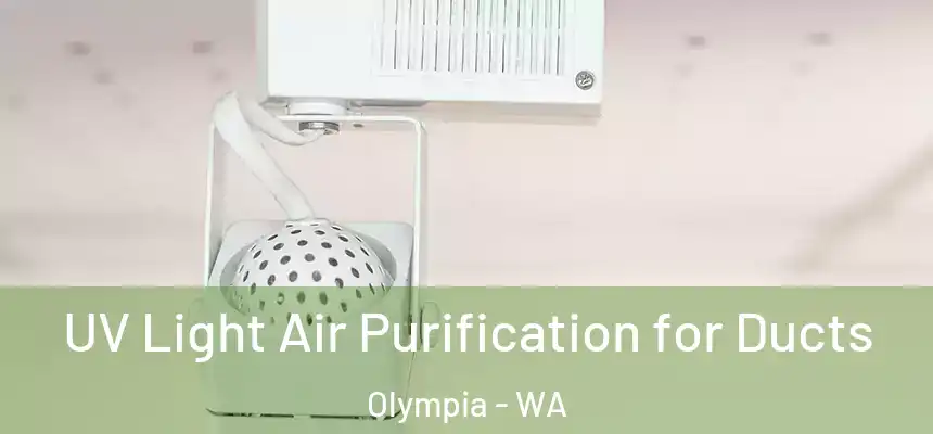  UV Light Air Purification for Ducts Olympia - WA